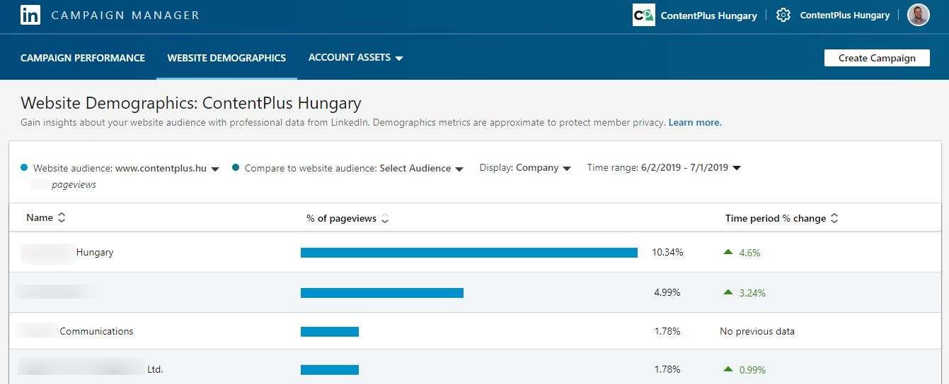 Linkedin campaign manager - website visitor adatok